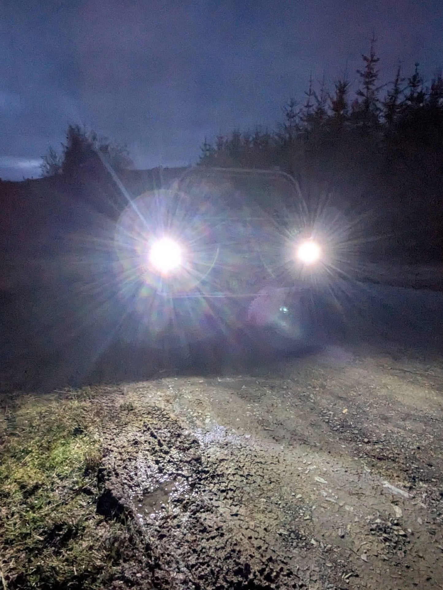 Series 4 L200 Reverse LED Bulbs