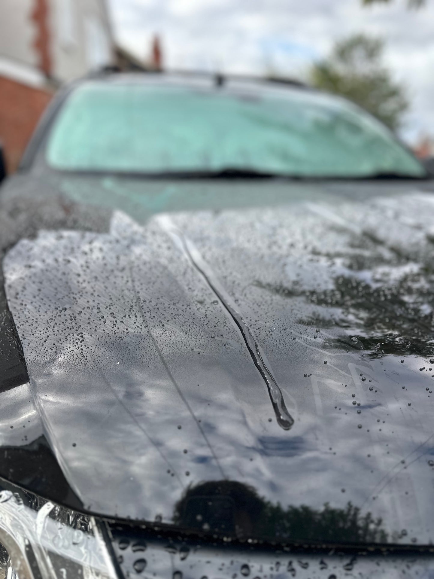 🇯🇵 Truckrest Waterproof Wax Dark Edition🇯🇵